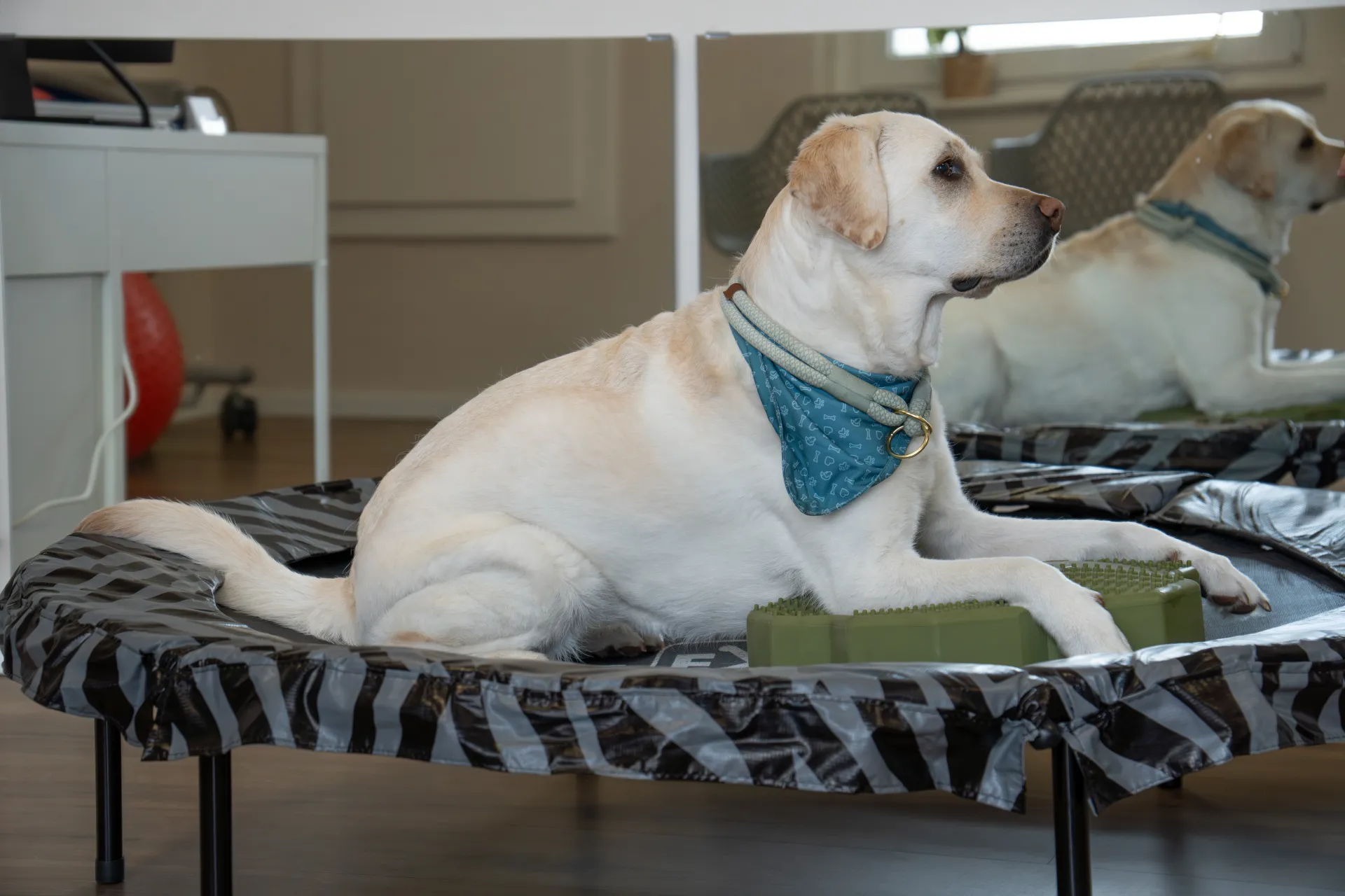 Rehabilitationsmedizin