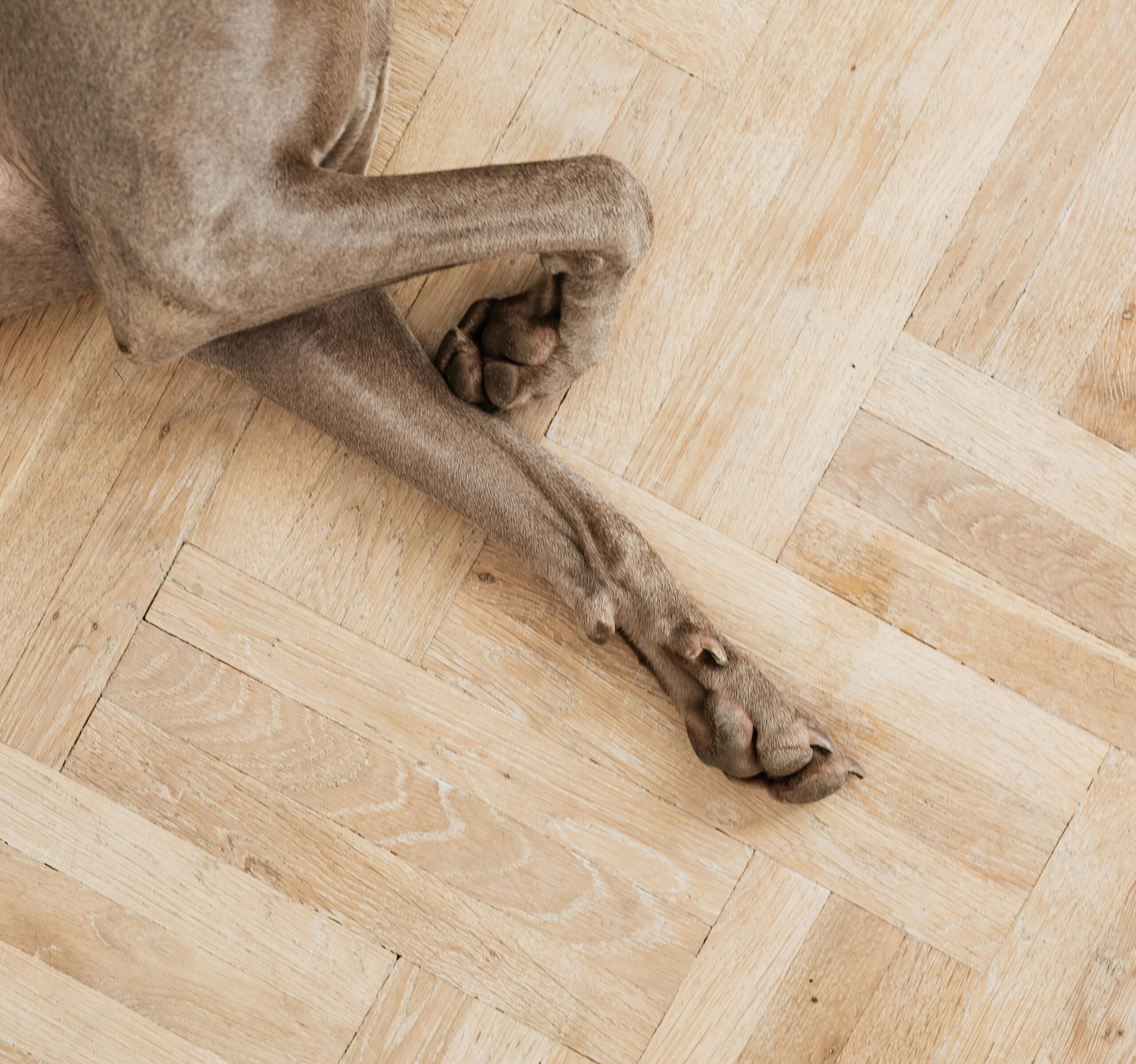 Physikalische Medizin